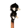 Gold Tone OB-250 banjo headstock close-up showing button styling and tuner detail