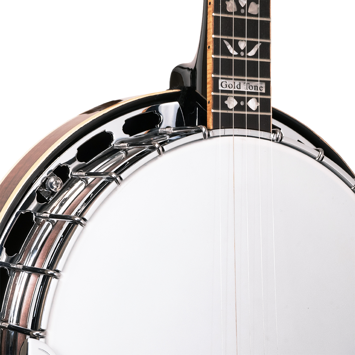 Gold Tone OB-250+ TP Orange Blossom banjo — vintage brown high-gloss finish, full instrument view