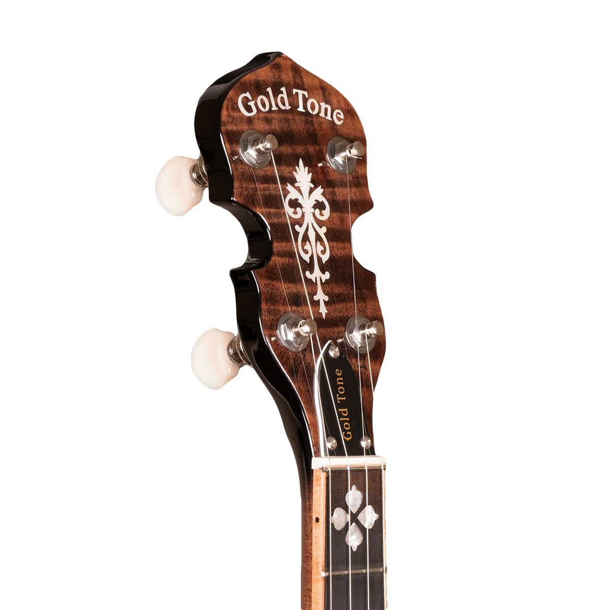 Gold Tone OB-250+ TP headstock showing Gotoh planetary tuners and curly maple headstock veneer