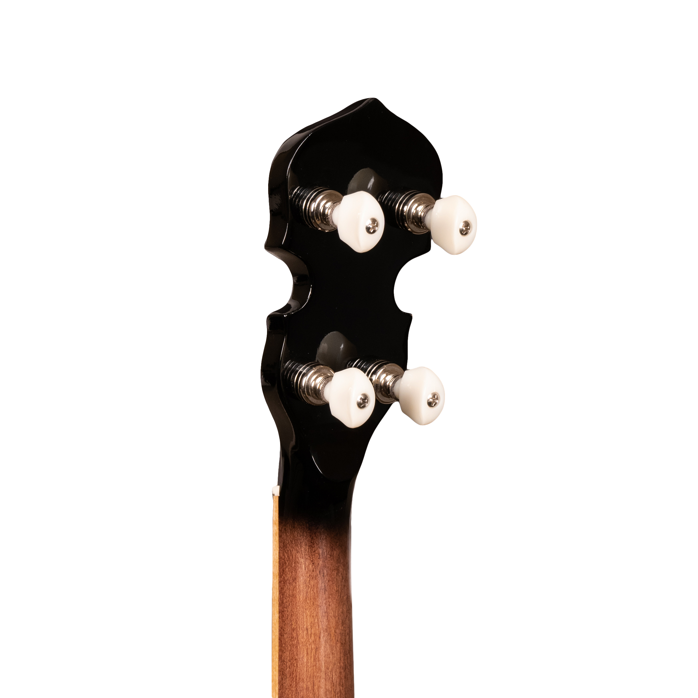 Gold Tone OB-250+ TP headstock close-up — Gotoh planetary tuners and ZeroGlide nut detail