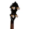 Gold Tone OB-300 Orange Blossom banjo headstock back showing gold GT Master planetary tuners and curly maple neck