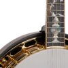 Gold Tone OB-300 banjo neck heel gold-plated flange and modified tree of life abalone inlay closeup