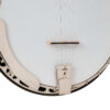 Gold Tone OB-3EF banjo front detail showing cream ABS binding and Presto tailpiece