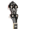 Gold Tone OB-3EF banjo headstock showing C-style buttons and Gotoh planetary tuners