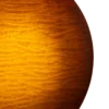 Gold Tone OB-Grandee Flying Eagle banjo back detail showing resonator back and one-piece cast flange