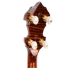Gold Tone OB-Grandee Flying Eagle headstock side detail showing C-style buttons and bone nut