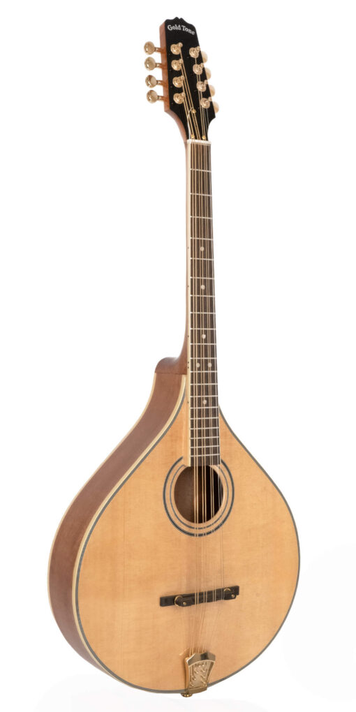 Gold Tone OM-800+ octave mandolin front view in natural high gloss finish