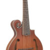 Gold Tone octave mandolin related model front view