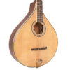 Gold Tone OM-800+ octave mandolin full front view showing solid spruce top and cream binding