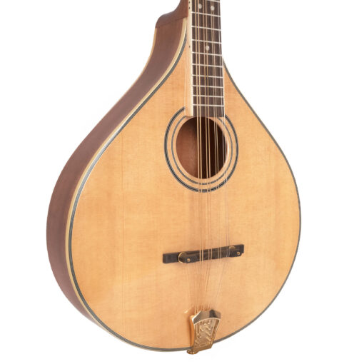 Gold Tone OM-800+ octave mandolin full front view showing solid spruce top and cream binding