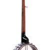 Gold Tone OT-800 banjo back full view with vintage brown finish