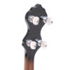 Gold Tone OT-800 banjo headstock detail showing C-style buttons and ZeroGlide nut