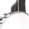 Gold Tone OT-800LN banjo full front view displaying vintage brown high gloss finish and white ABS binding