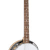 Gold Tone resonator guitar variant front view for comparison