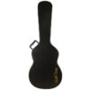 Gold Tone PBS-8 hardshell case included with resonator guitar