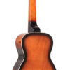 Gold Tone PBS-8 back detail showing tobacco sunburst finish and cream ABS binding