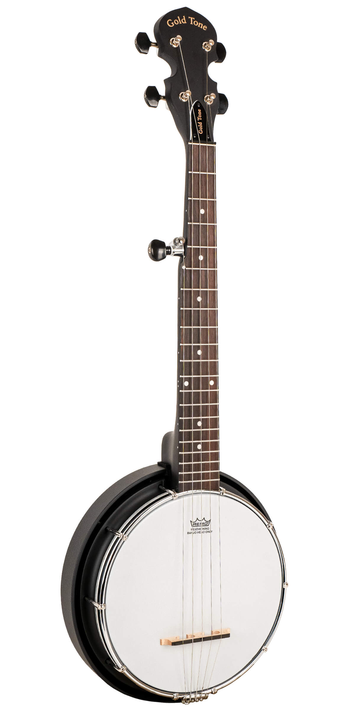 Gold Tone AC-Mini acoustic banjo front view for size comparison