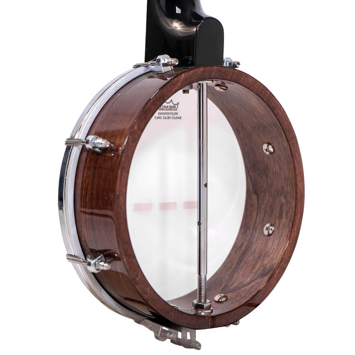 Gold Tone Plucky back detail showing multi-ply maple rim construction