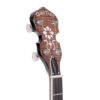 Gold Tone PS-250 Plectrum Special Banjo headstock showing GT Master Planetary tuners front view