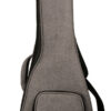 Gold Tone ResoUke heavy-duty gig bag included with purchase