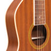 Gold Tone SM-Weissenborn+ guitar top and ebony bridge