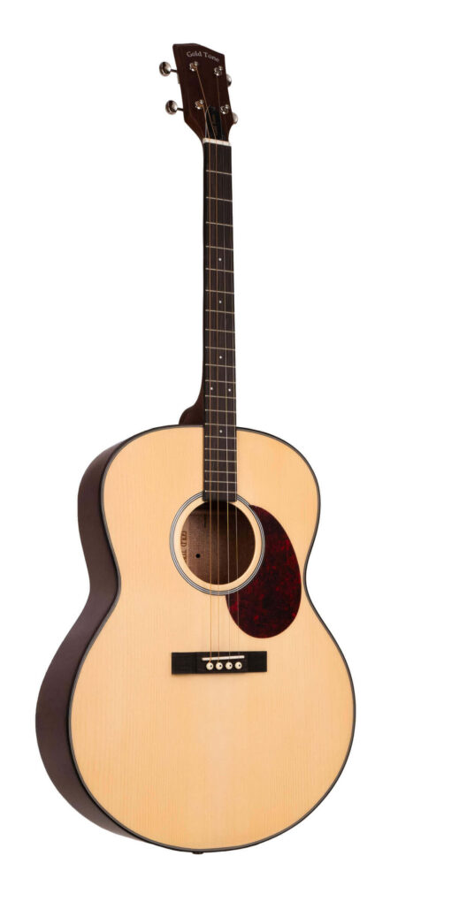 Gold Tone TG-10 tenor guitar front view in natural high gloss finish