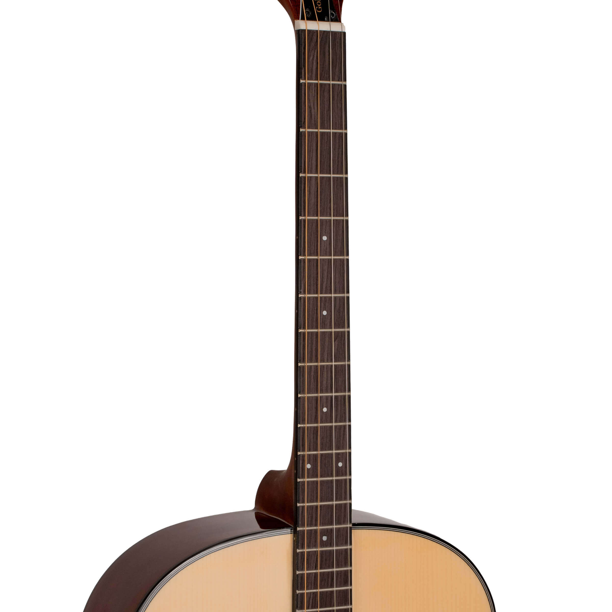 Gold Tone TG-10 tenor guitar neck close-up showing rosewood fingerboard and mini dot inlays