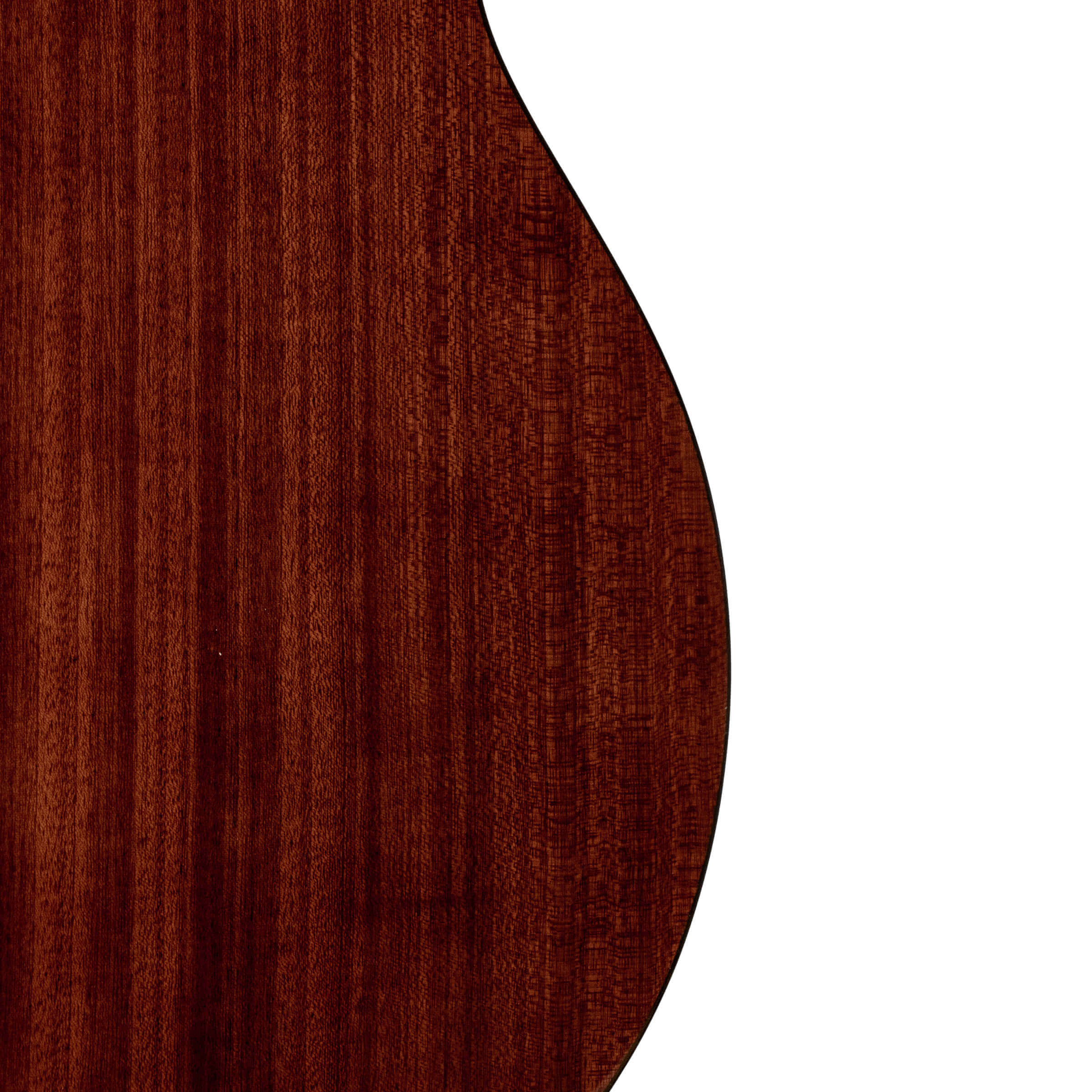 Gold Tone TG-10 tenor guitar back view showing mahogany construction