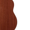Gold Tone TG-18 tenor guitar back close-up high gloss natural finish