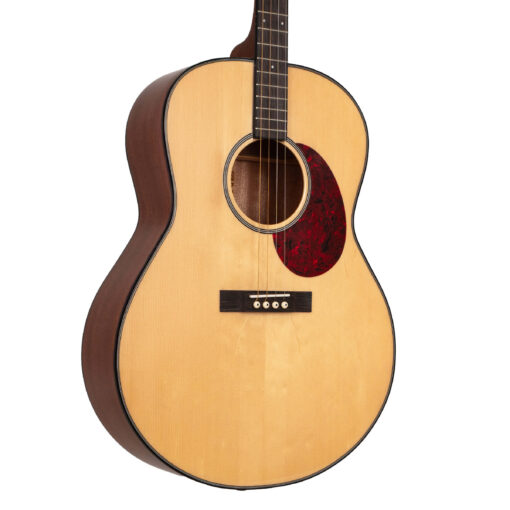 Gold Tone TG-18 tenor guitar full front view showing spruce top and mahogany body