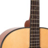 Gold Tone TG-18 tenor guitar front angle showing body shape and soundhole