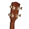 Gold Tone TG-18 tenor guitar headstock detail chrome buttons and Gold Tone logo