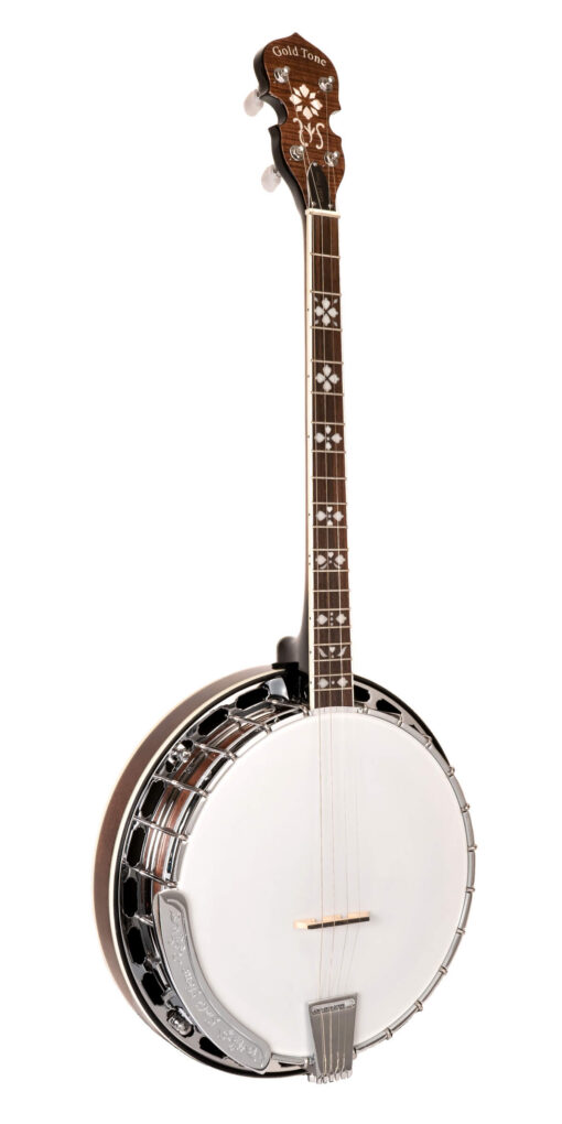 Gold Tone TS-250 Tenor Special Banjo with Case