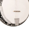 Gold Tone TS-250 Tenor Special Banjo front detail showing hearts and flowers inlay and white celluloid binding