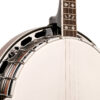 Gold Tone TS-250 Tenor Special Banjo angled front view highlighting chrome hardware and one-piece flange