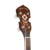Gold Tone TS-250 Tenor Special Banjo headstock showing GT Master Planetary tuners and C-style buttons