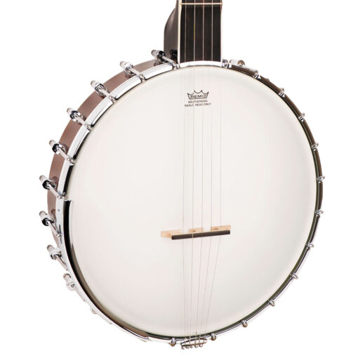 Gold Tone WL-250 Mastertone banjo full front view showing cloud inlays and ebony fingerboard