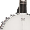 Gold Tone WL-250 banjo front detail showing notched tension hoop and White Ladye tone ring