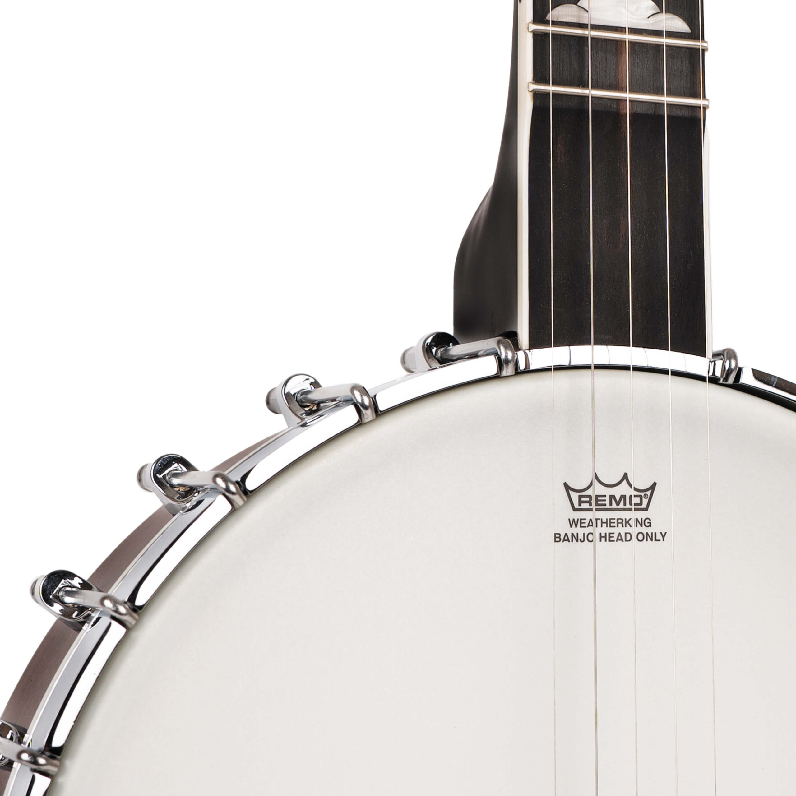 Gold Tone WL-250/L White Ladye banjo front view showing 11-inch Remo Renaissance head and notched tension hoop