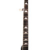 Gold Tone WL-250/L neck detail showing ebony fingerboard with scoop and cloud inlays