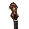 Gold Tone WL-250 banjo headstock front view with GT planetary tuners and A-style buttons