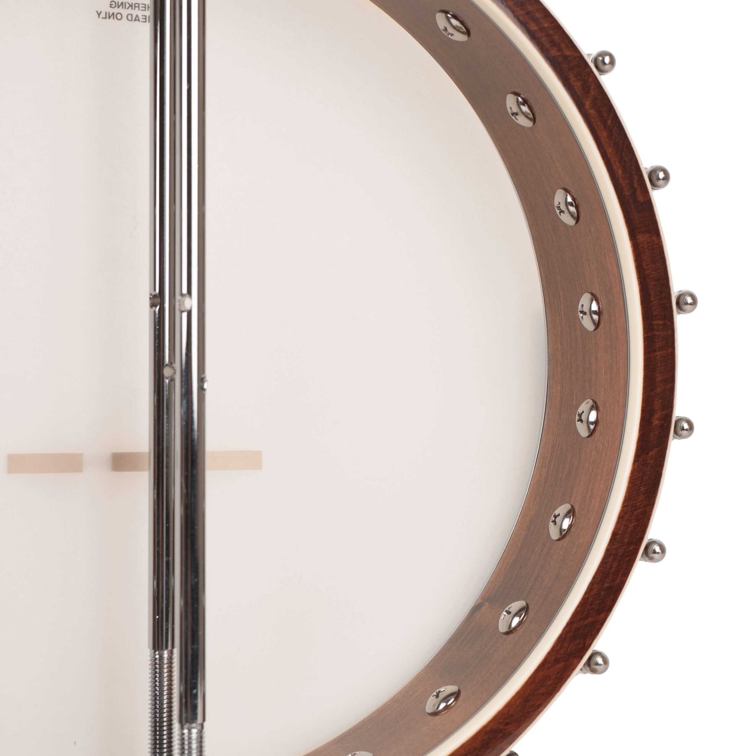 Gold Tone WL-250/L back view showing maple neck and vintage brown finish