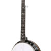 Gold Tone CC-100R+-L - 1-front [gt-variant:1189]