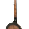 Gold Tone CC-100R+-L - 10-back [gt-variant:1189]