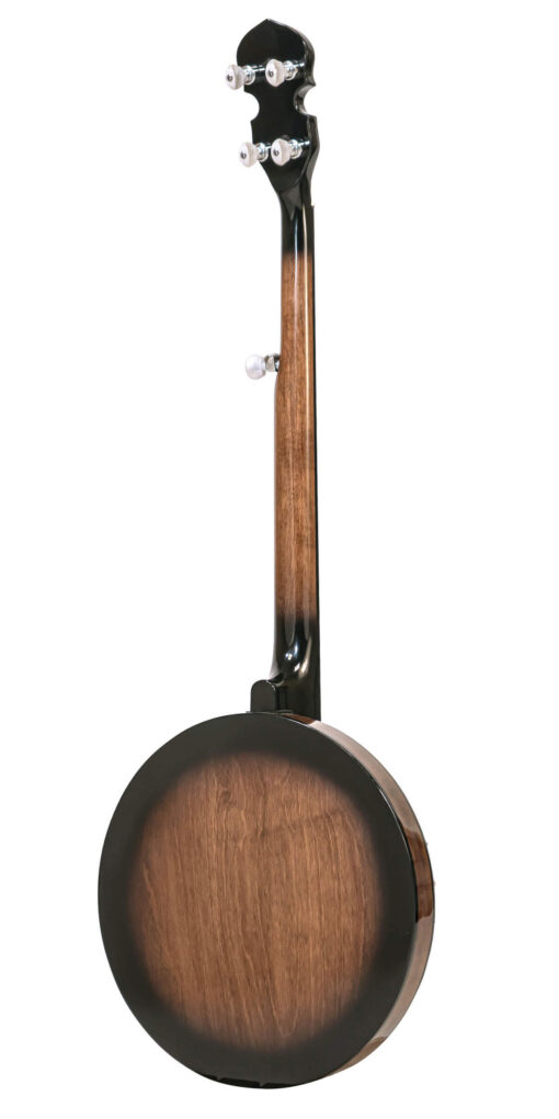 Gold Tone CC-100R+-L - 10-back [gt-variant:1189]