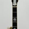 Front of the headstock on the 1987 Stelling One-Bird Virginian, showing the mother-of-pearl Cardinal peghead inlay at the top, the engraved truss rod cover below, and the mother-of-pearl Dogwood inlays on the walnut fingerboard.