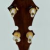 Back of the headstock on the 1987 Stelling One-Bird Virginian, showing Schaller D-style tuners on the second and third strings and original gold-plated Stelling planetary tuners on the first and fourth strings.