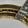Under-angle view of the 1987 Stelling One-Bird Virginian showing the mother-of-pearl VIRGINIAN model inlay at the 12th fret of the walnut fingerboard, the engraved gold-plated tension hoop and flange below, and the Dogwood fingerboard inlays.