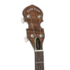 Gold Tone CC-100R+-L - 6-headstock [gt-variant:1189]