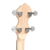 Gold Tone CC-Carlin12-L - 7-headstock [gt-variant:1032]